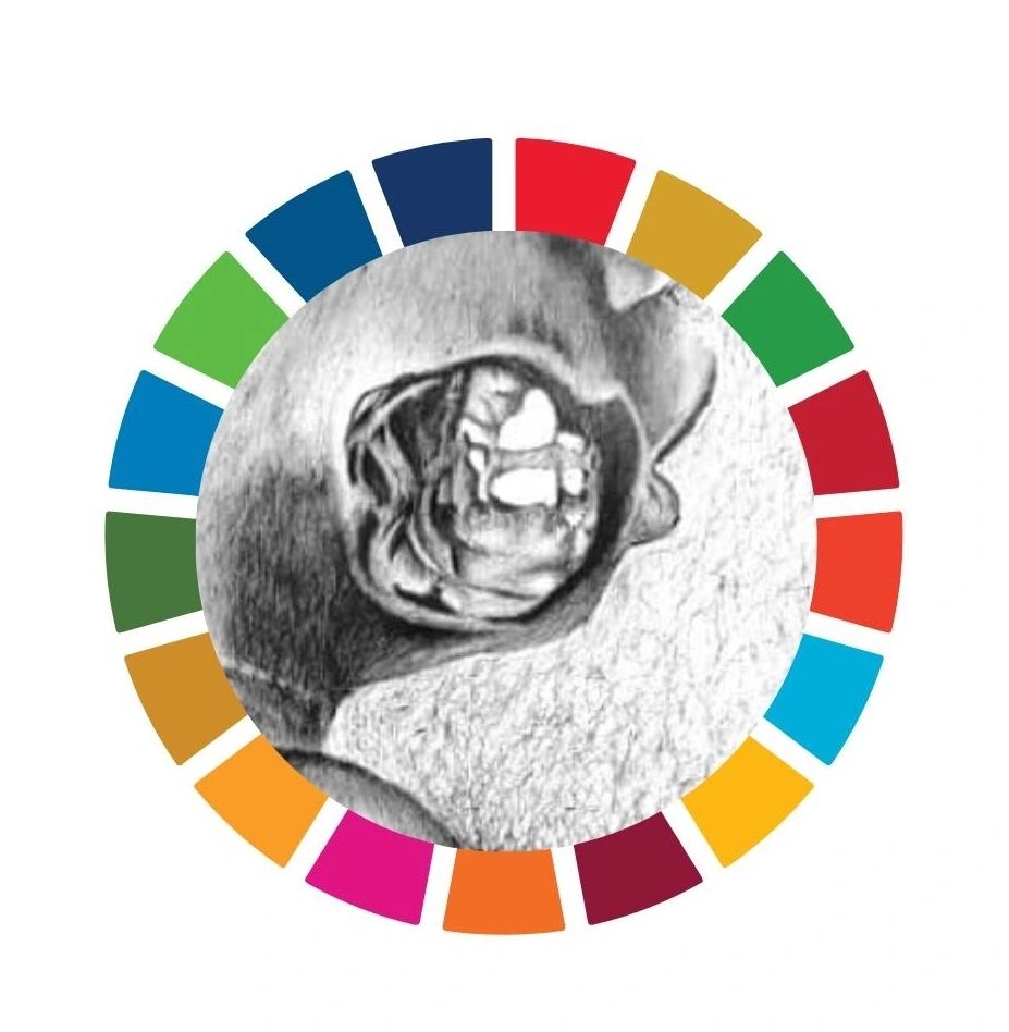 2030 is the time we should achieve #SDGs, and we are racing against time